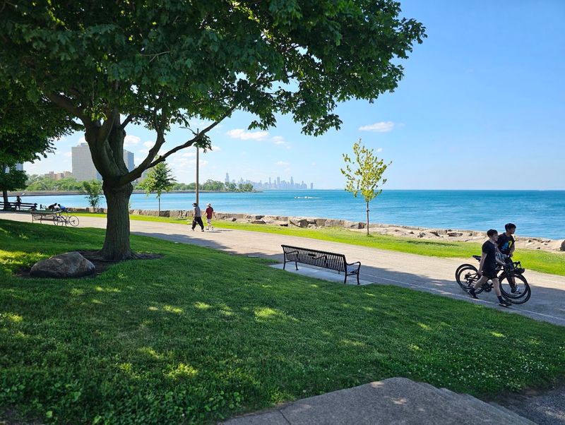 A Picnic Culture That Feels Refreshingly Unhurried
