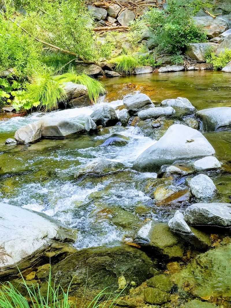A Picnic Spot That Actually Earns The Title