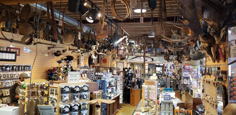 A Pier 54 Shop That Has Been Collecting Weird Since 1899
