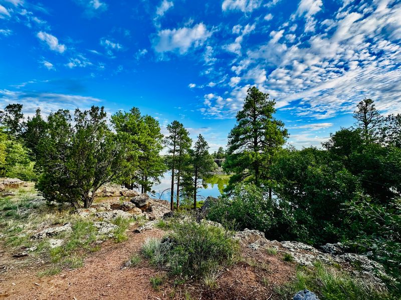 A Pine-Covered City Sitting Way Up On The Mogollon Rim