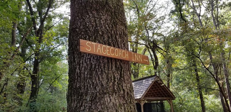 A Pioneer Settlement In The Woods