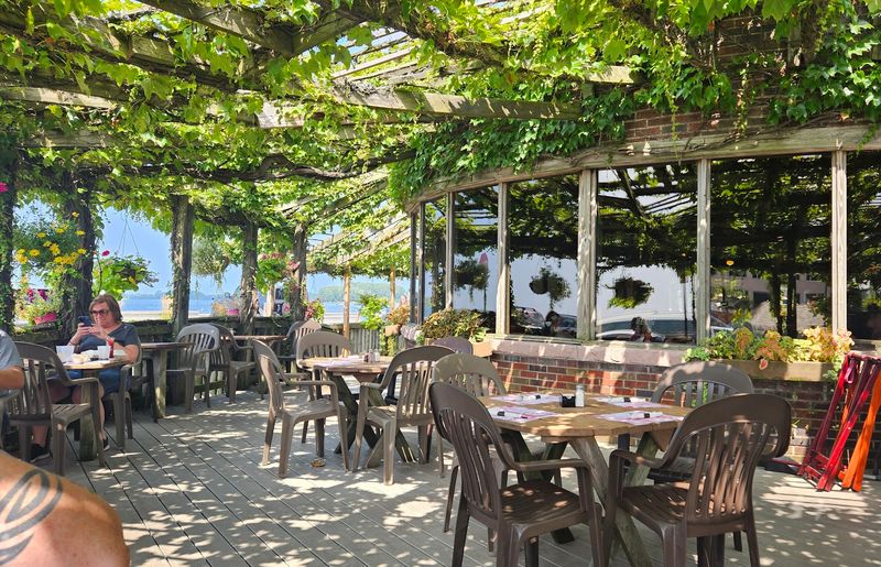 The Ivy-Covered Pergola Is Basically Famous