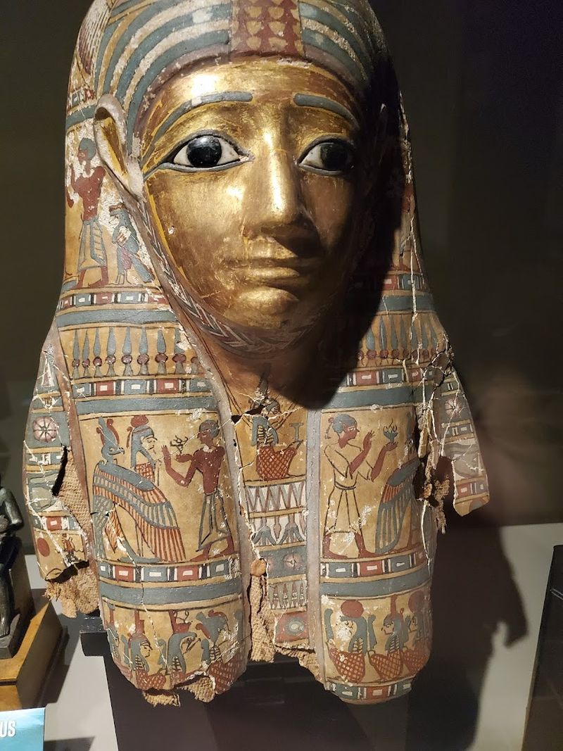 Fossils, Mummies, and Specimens That Fascinate