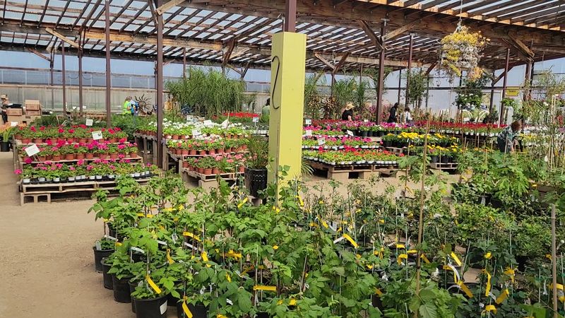 A Plant Collection That Covers Every Corner