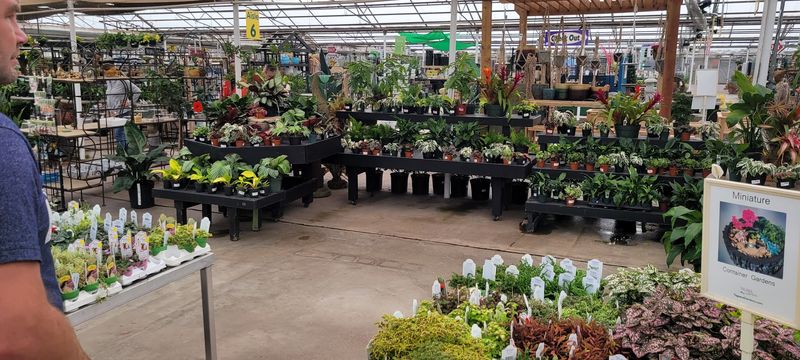 A Plant Selection That Covers Every Skill Level and Space