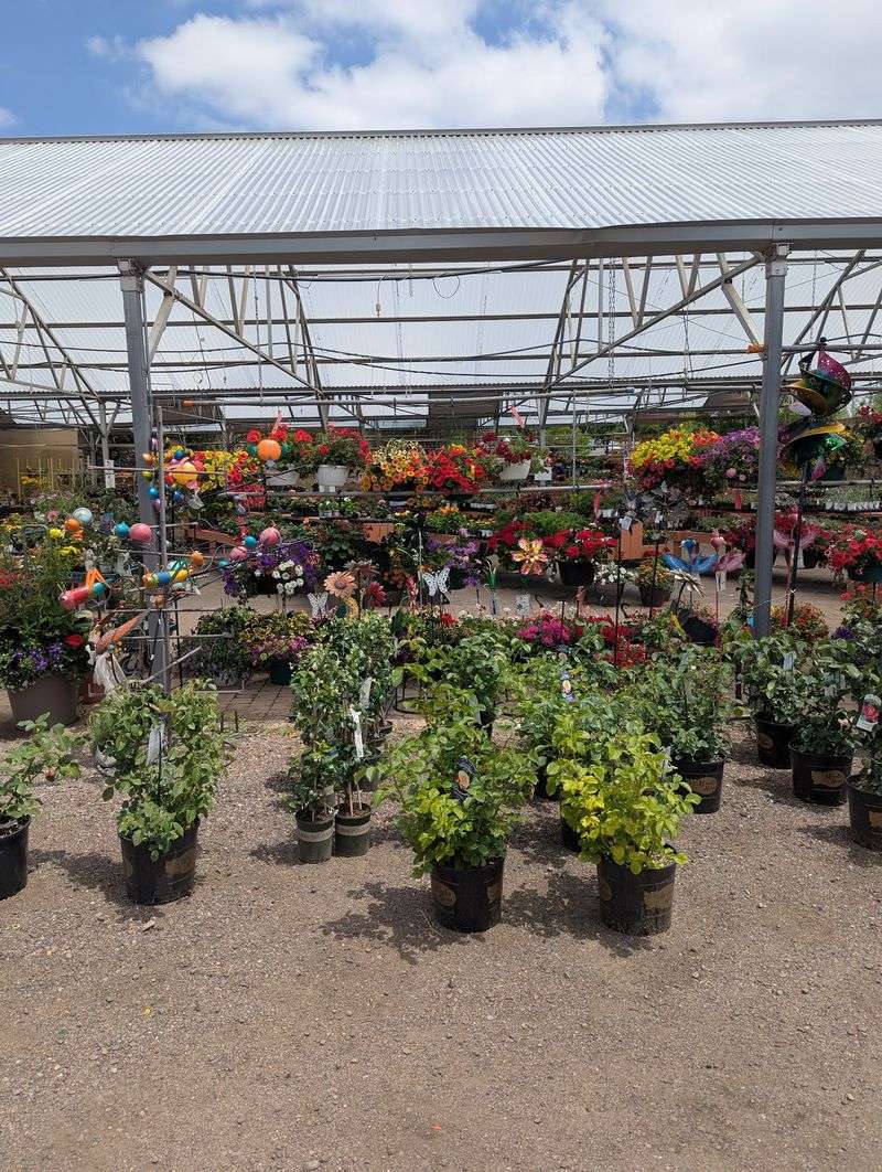 A Plant Selection That Feels Almost Endless