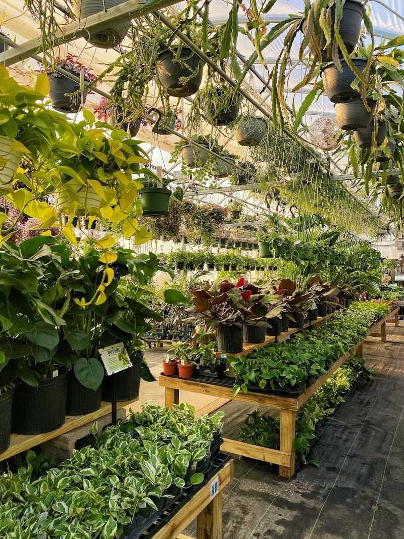 A Plant Selection That Genuinely Surprises You