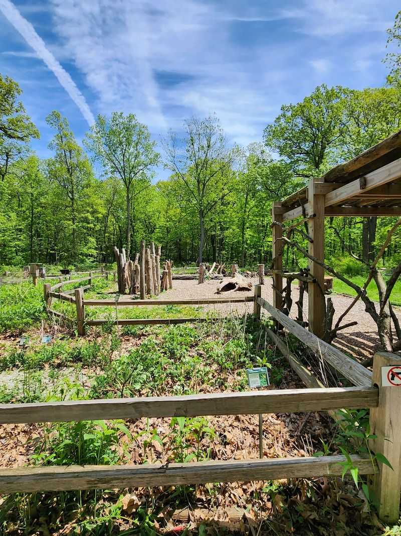 A Play Area Built For Young Explorers