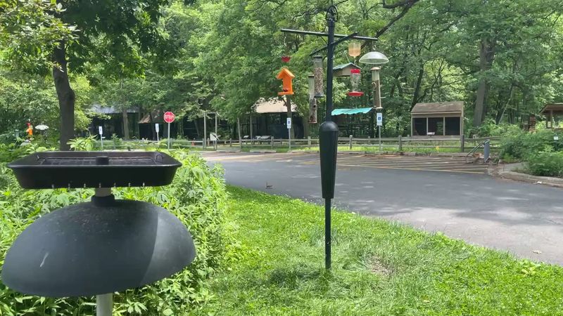 A Birdwatcher’s Sweet Spot