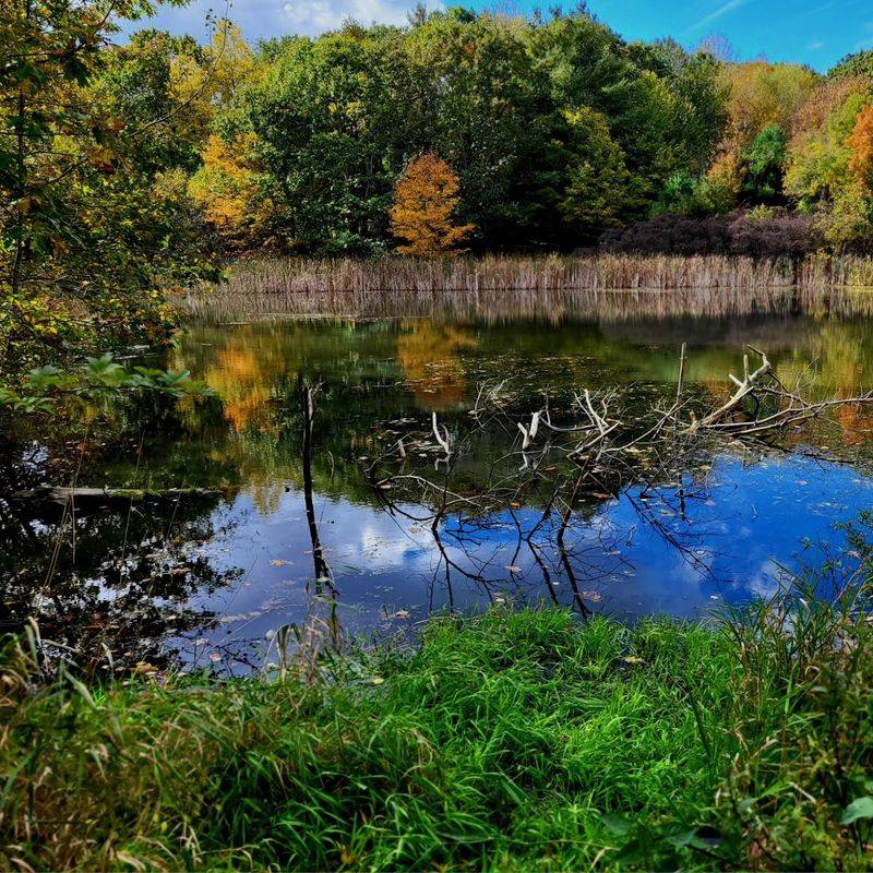 A Playground For Birds And Wildlife