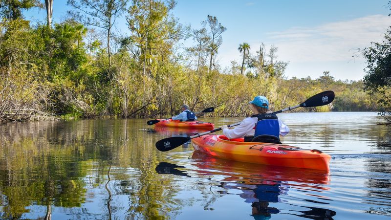 A Playground For Everglades Explorers A Playground For Everglades Explorers