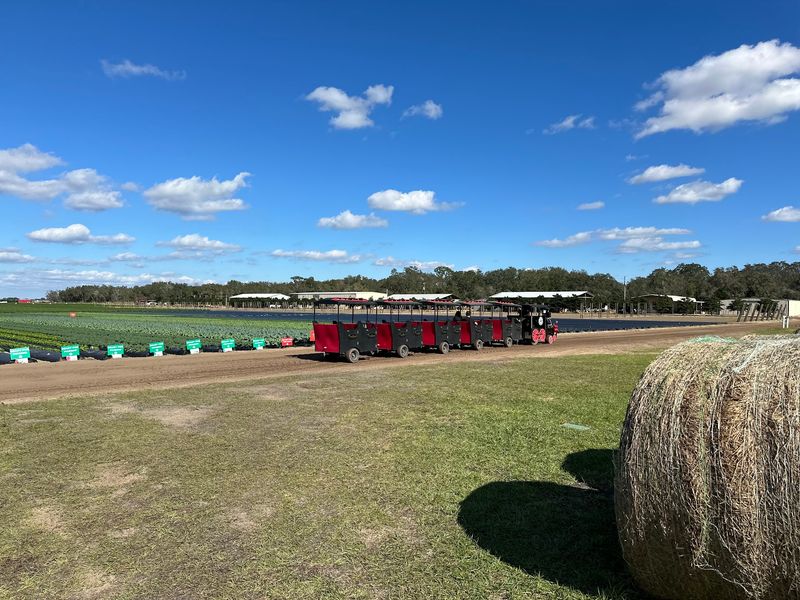 A Playground Paradise For Little Farmers