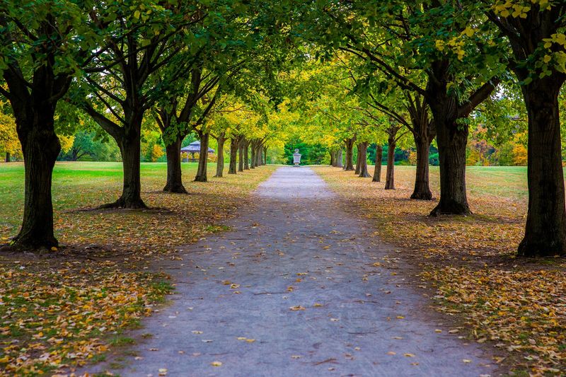 Seasonal Transformations Worth Returning For