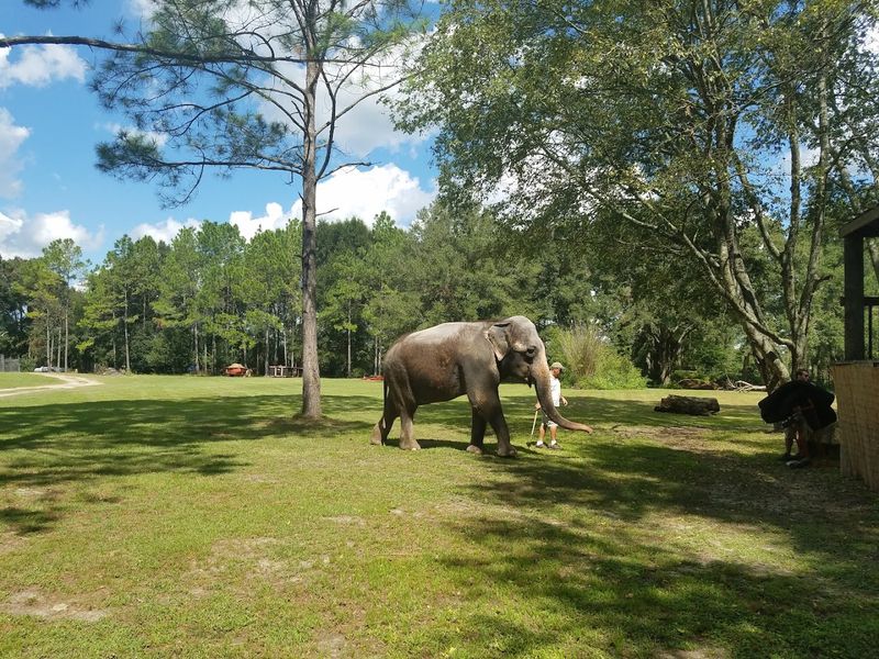 Supporting Conservation Through Controversial Means