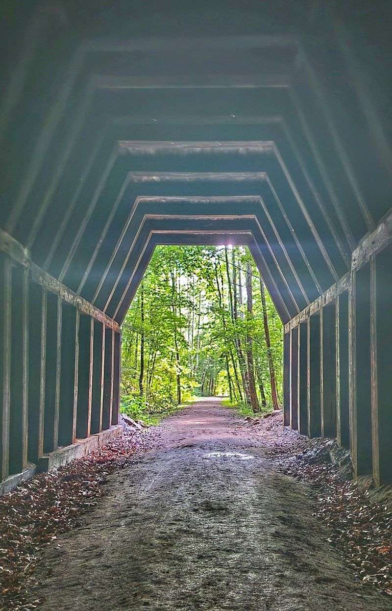 From Rail To Trail, With Stories Along The Way