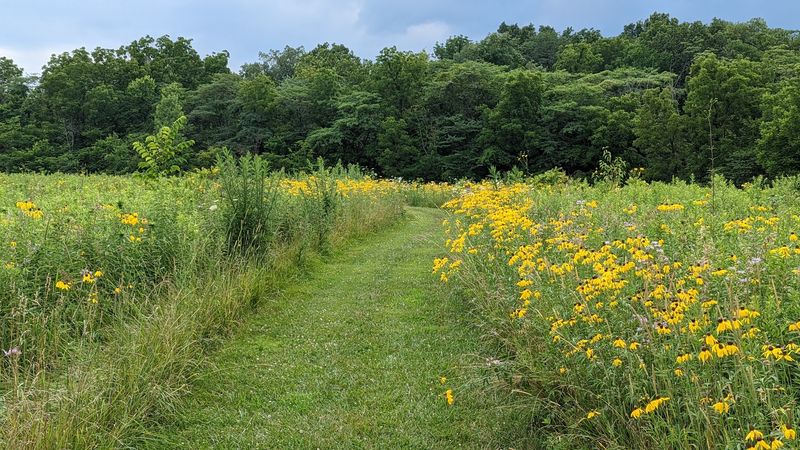 A Prairie Preserve Worth Finding