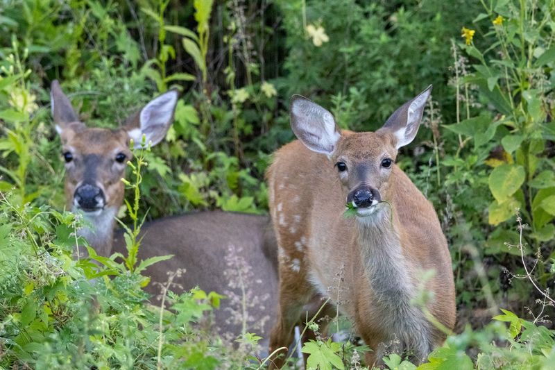 Why April Changes Everything Here