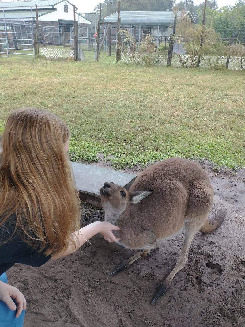 A Private Farm With A Big Heart A Private Farm With A Big Heart