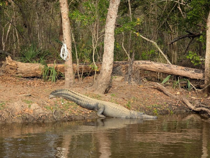 A Private Wildlife Refuge Unlike Anything Else