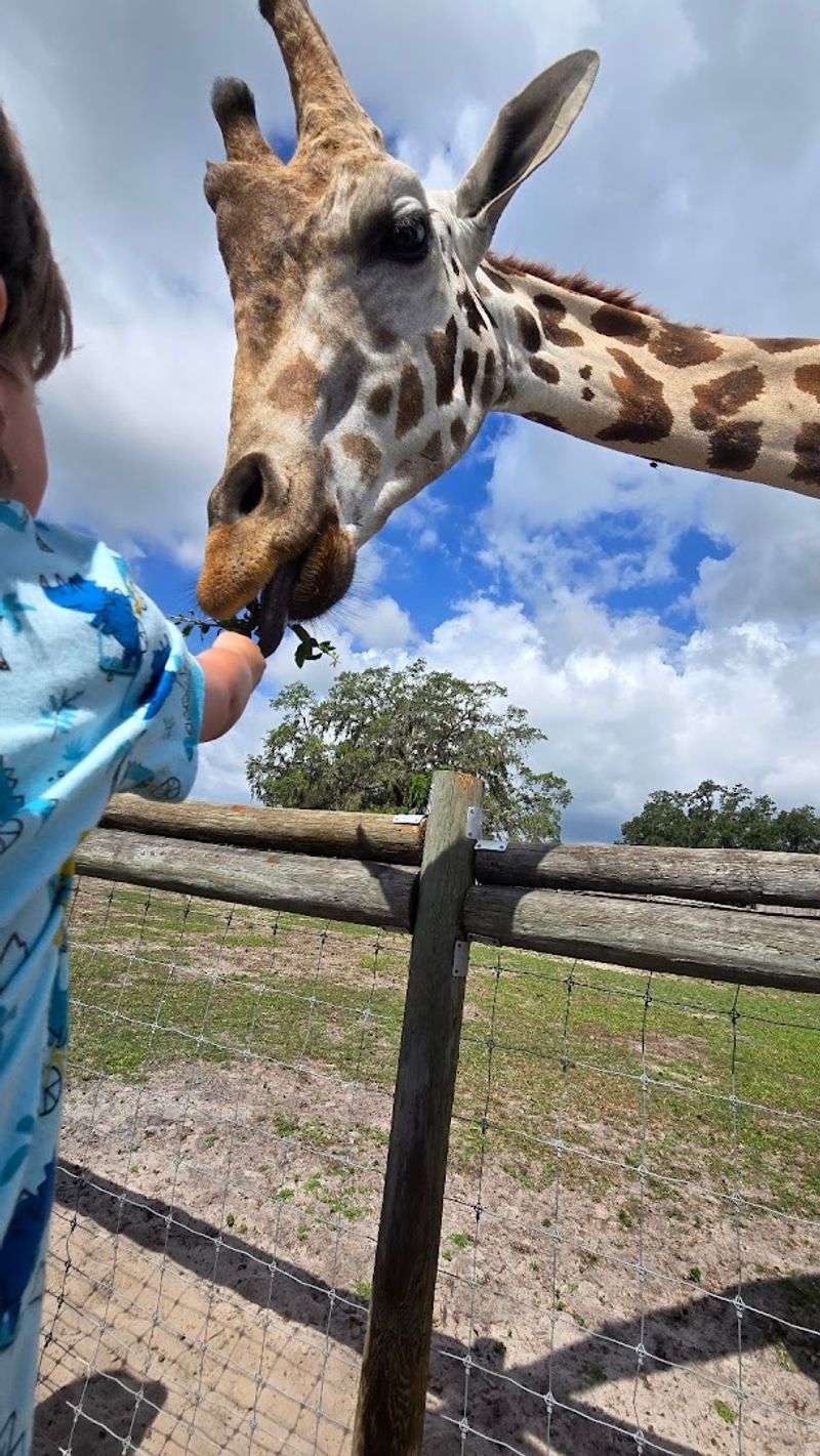 The Camel Ride That Adds A Whole New Layer Of Adventure