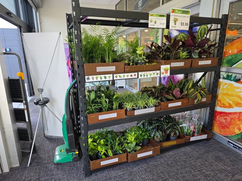 A Produce Section That Steals The Show A Produce Section That Steals The Show