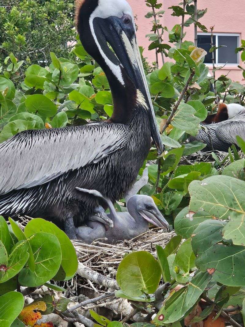 A Protected Bird Sanctuary