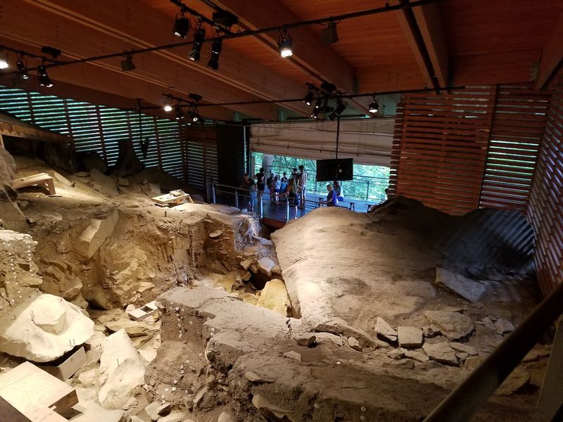 A Protective Roof With A Purpose