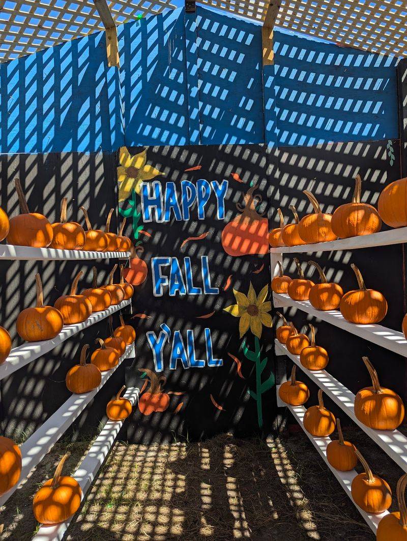 A Pumpkin Patch And The Famous Pumpkin House