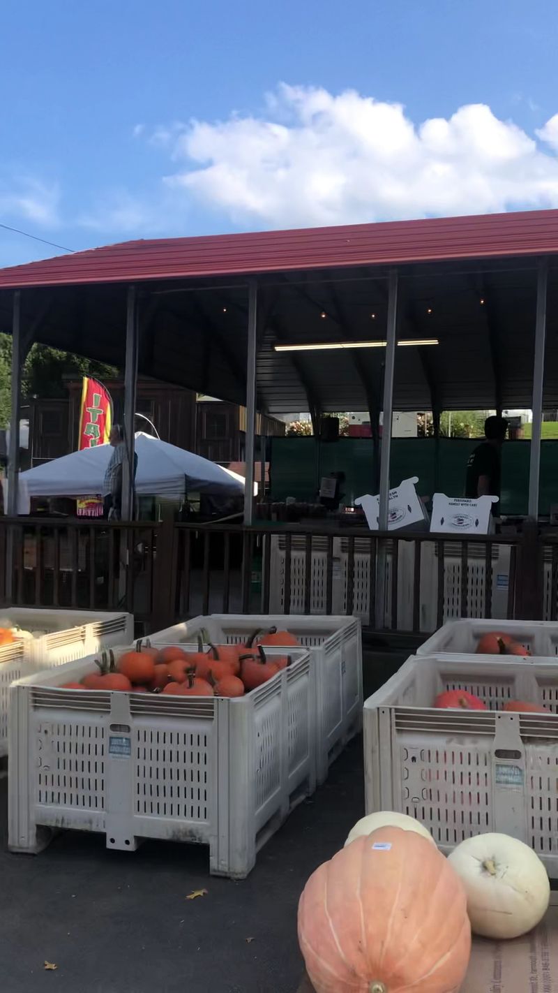 A Pumpkin Patch Worth Getting Lost In