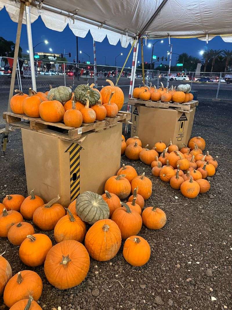 A Pumpkin Stand on the Corner of Market and Williams Field