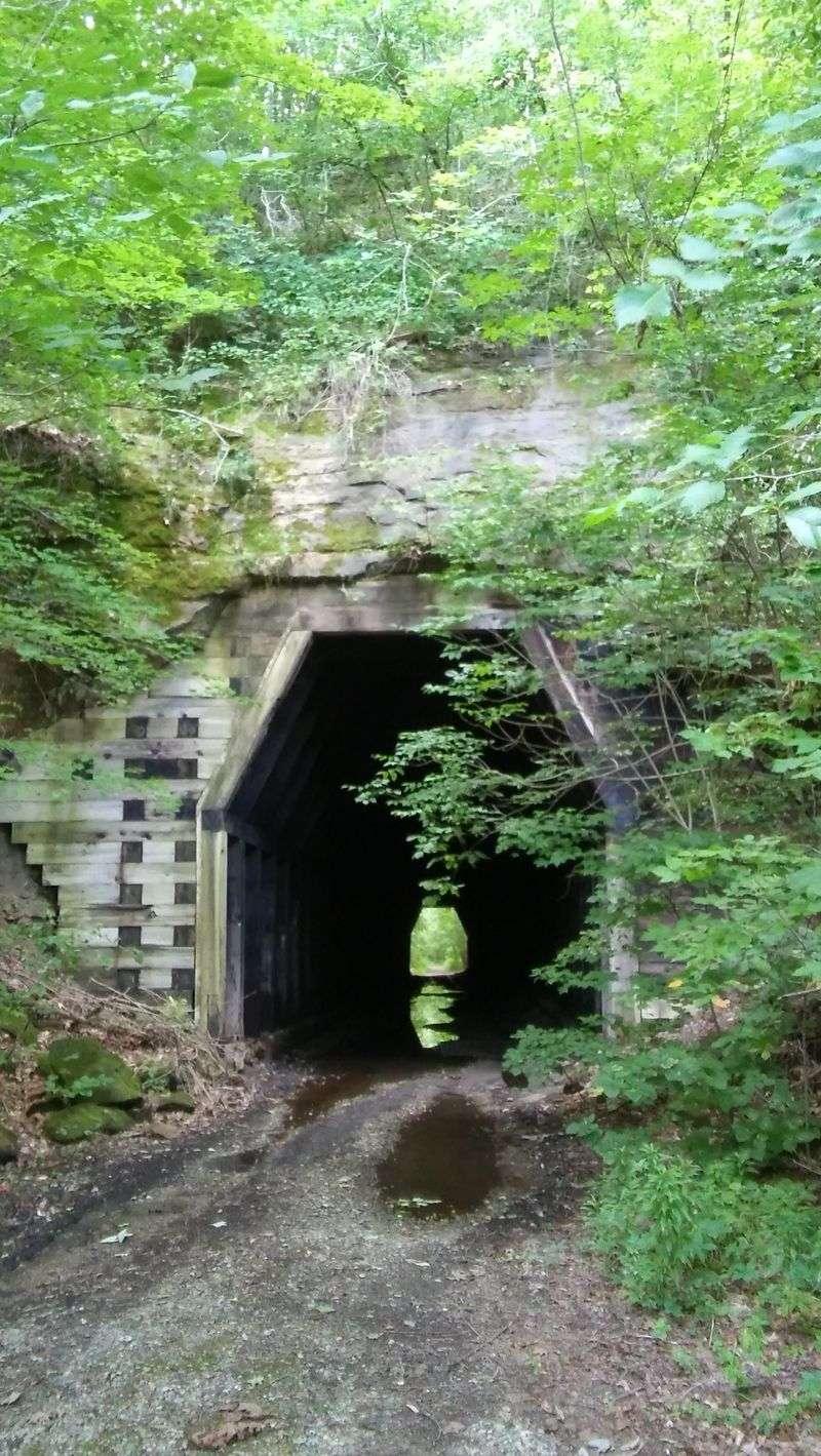 Finding The Rhythm Of Footsteps And Echoes