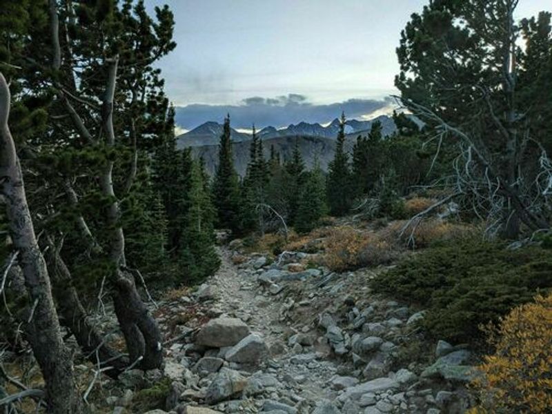 Take This Line With You