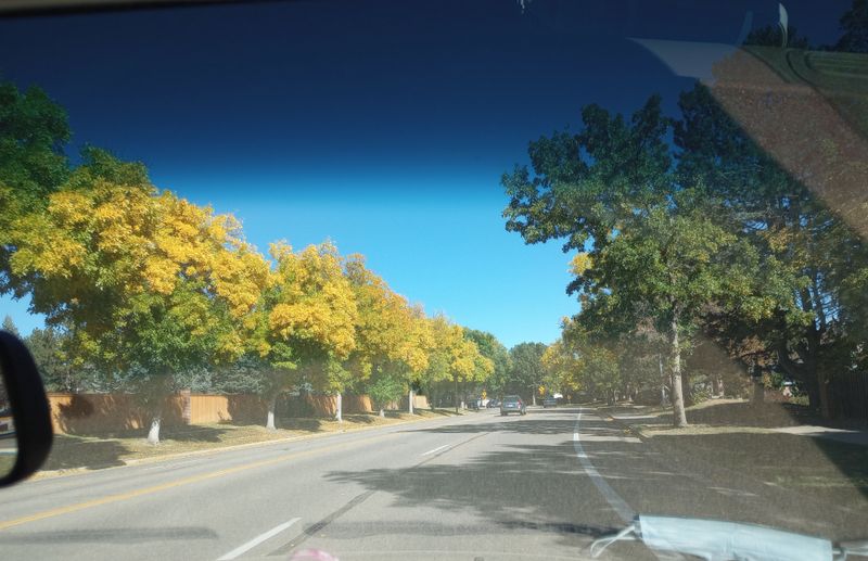 The Line You Will Share