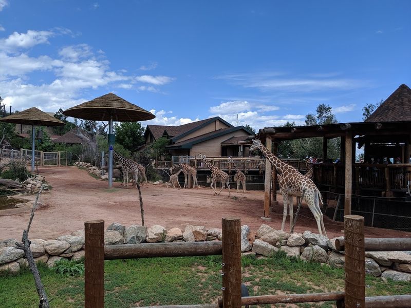 The Line You Will Quote Later