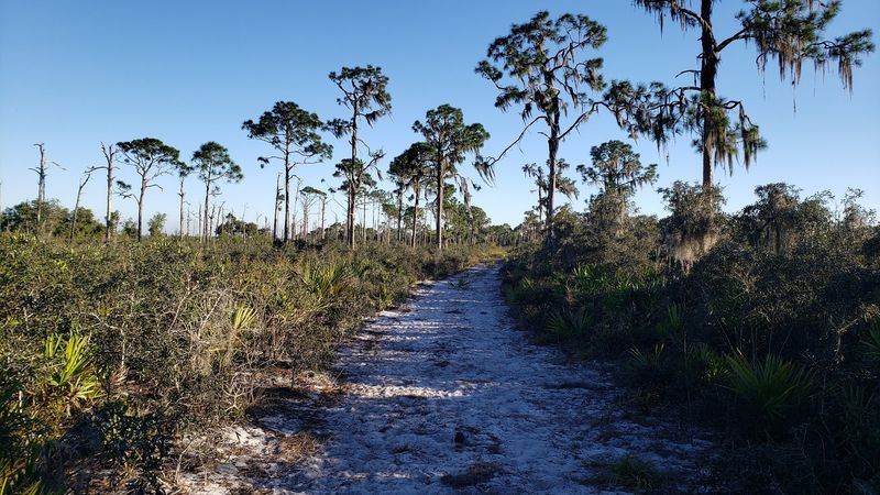 A Quick Wilderness Escape Just Minutes From Town A Quick Wilderness Escape Just Minutes From Town