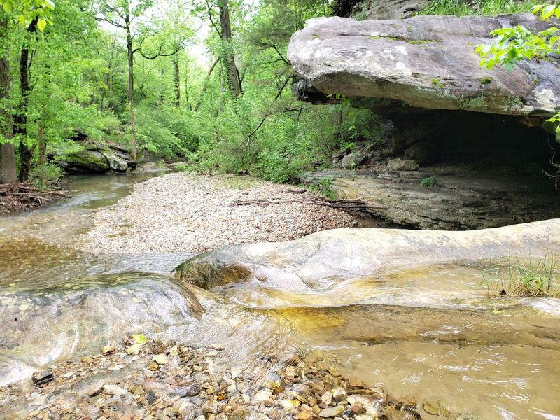 Where Clear Water And Towering Bluffs Create An Incredible Swim Spot