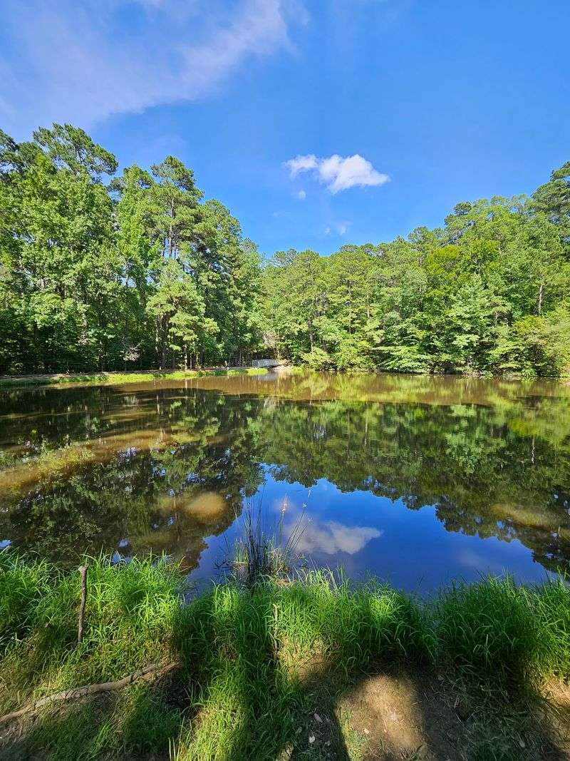 A Quiet Boardwalk Leads Straight Over The Pond A Quiet Boardwalk Leads Straight Over The Pond