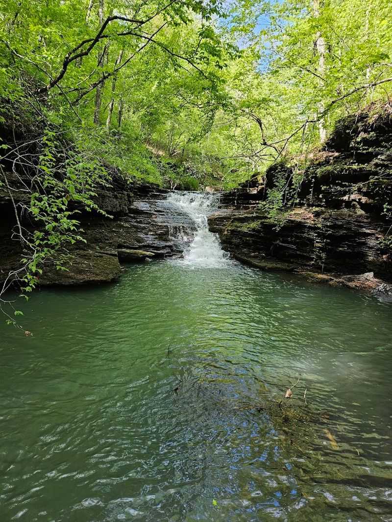 A Quiet Cascade Hidden Deep In The Woods