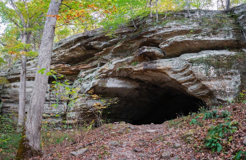 A Quiet Corner Of The Shawnee National Forest