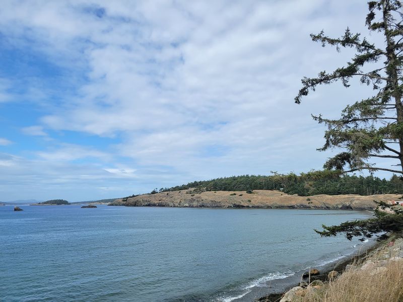 A Quiet Corner of Lopez Island A Quiet Corner of Lopez Island