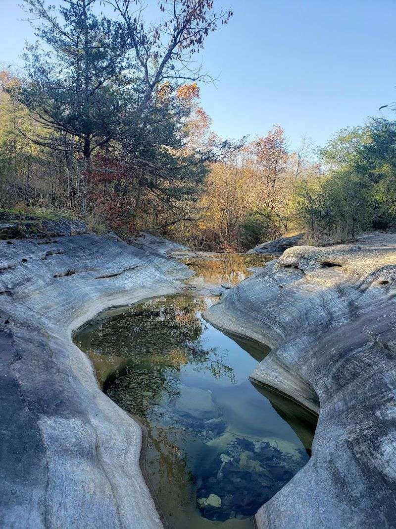 A Quiet Cove Framed By Forest