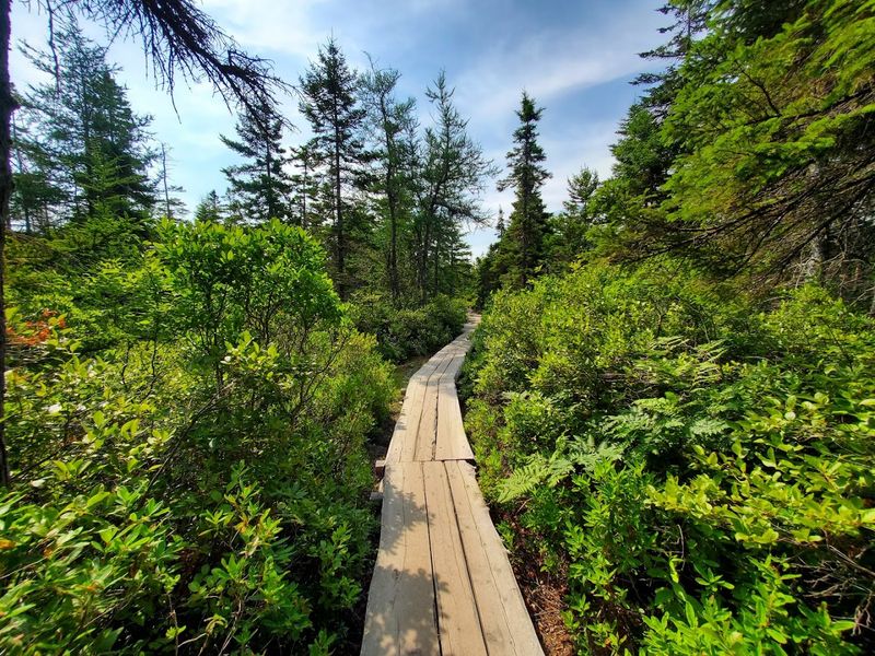 One of Acadia’s Most Family-Friendly Trails