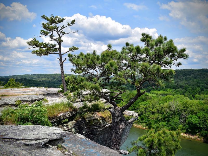 A Quiet Edge In The Ozarks
