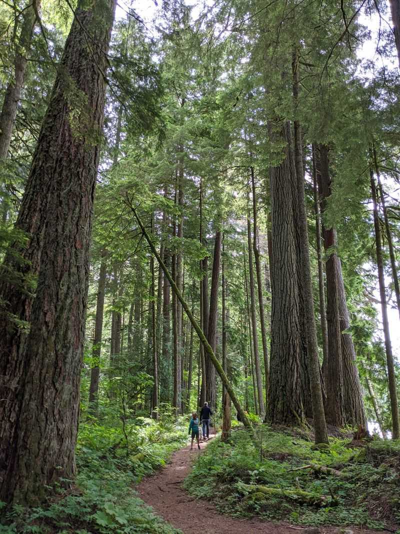 A Quiet Green Escape Along Highway 410