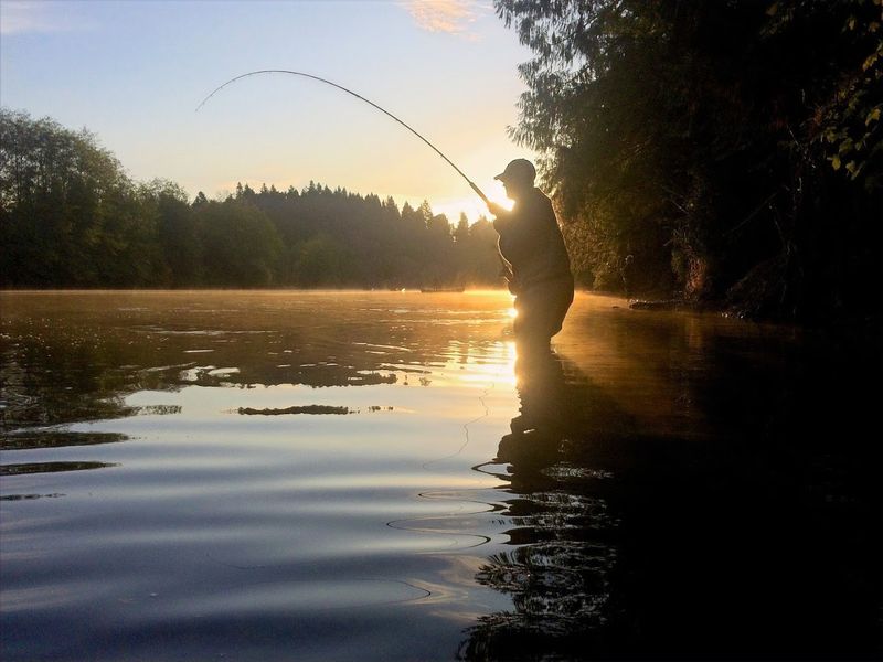 A Quiet Landing Along The Kings River