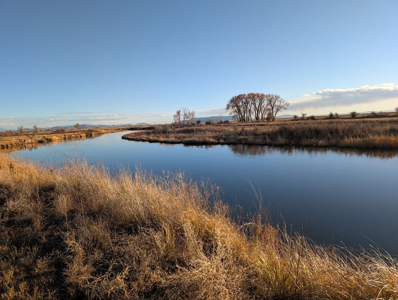 A Quiet Plan Near Alamosa That Does Not Need A Spreadsheet