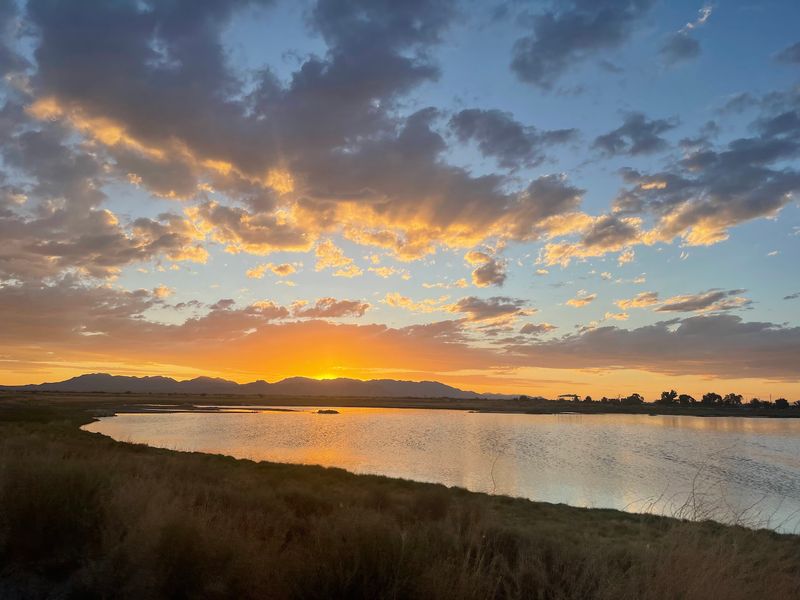 A Quiet Refuge On The Edge Of Willcox