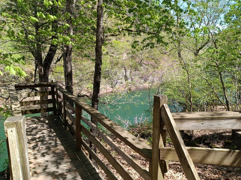 Where The Tree Line Opens To A Surprising Lakeside View