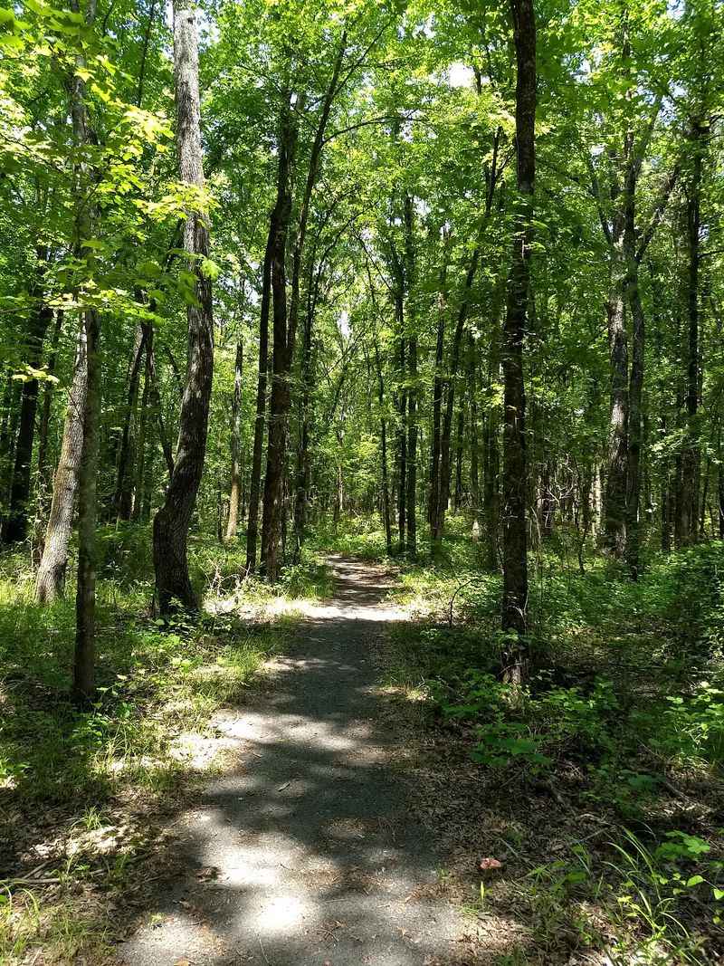 A Quiet Trail Goes Wild A Quiet Trail Goes Wild