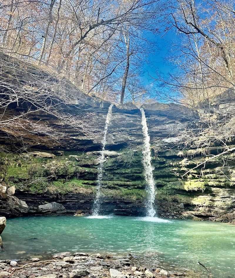 A Quiet Walk Through The Ozark Woods